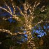24V Fairy Lights