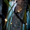 24V Fairy Lights - Image 2